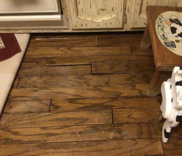 Hardwood kitchen flooring that is starting to buckle 