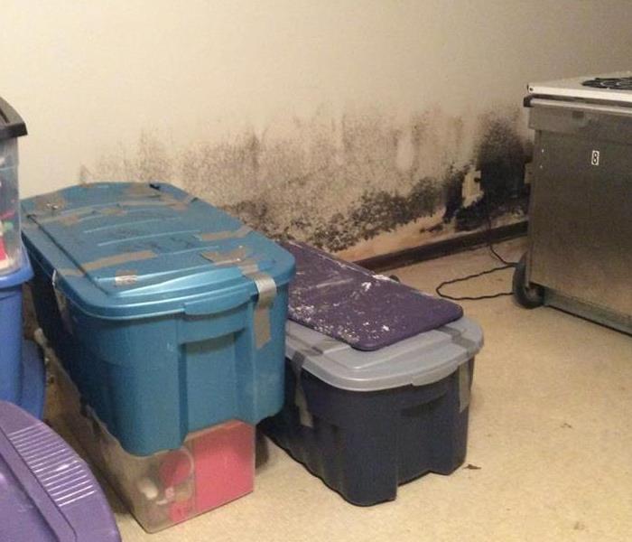 A basement with plastic containers against the wall with mold growth on the walls.