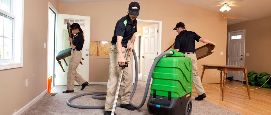Jasper, AL cleaning services